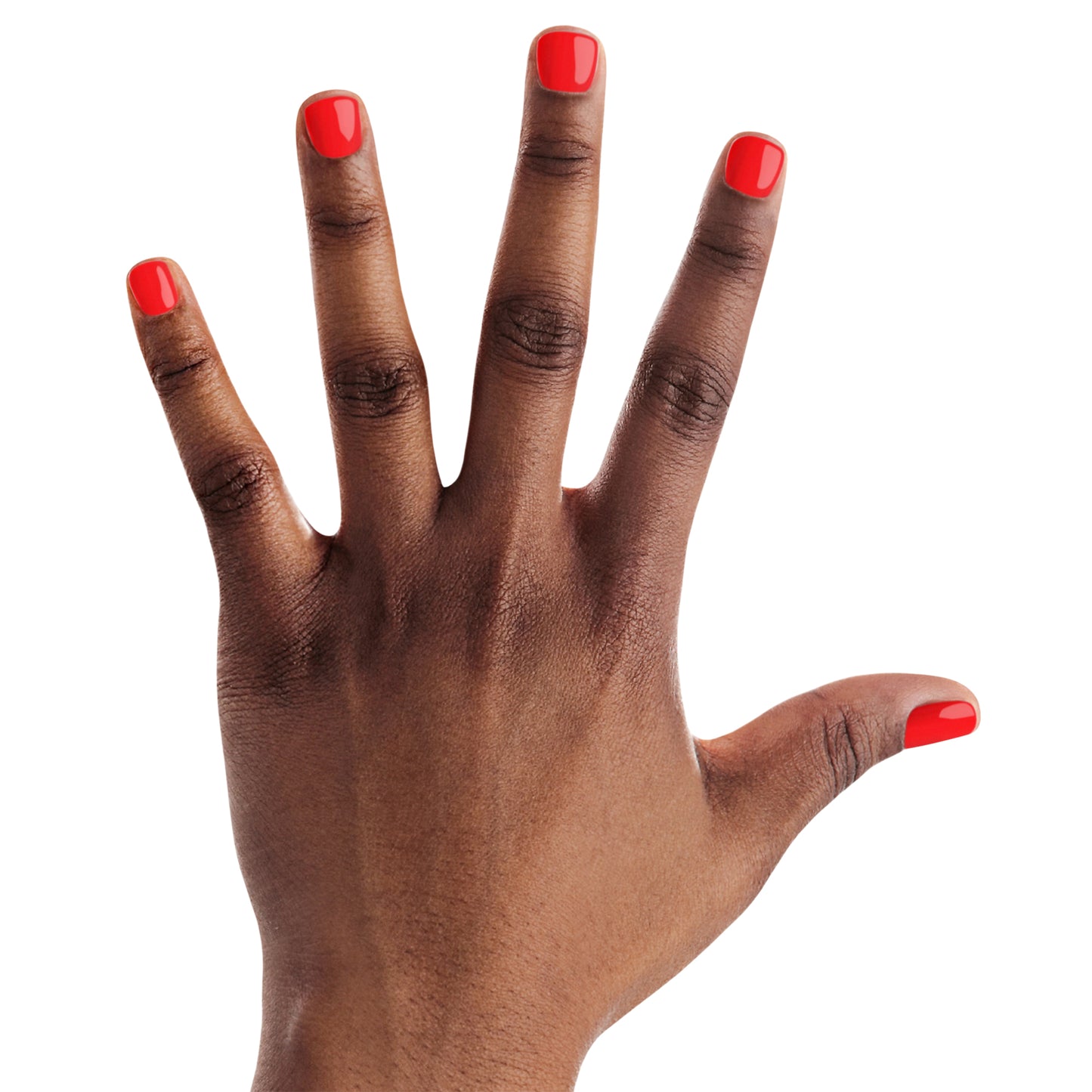 POP-arazzi - Corail rouge